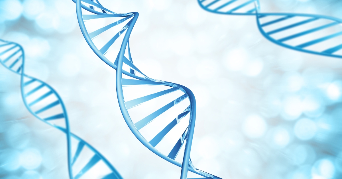 is ocd genetic — supporting image 1